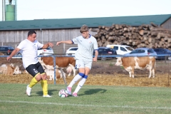 cetekovac-dinamo-97