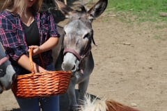 IMG_9476