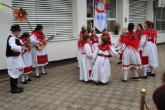 IMG_8182