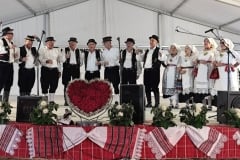Smotra-Folklora-Donja-Moticina-11