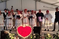 Smotra-Folklora-Donja-Moticina-14