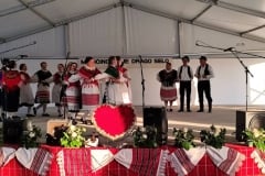 Smotra-Folklora-Donja-Moticina-16