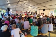 Smotra-Folklora-Donja-Moticina-18