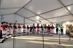 Smotra-Folklora-Donja-Moticina-nastup-KUD-.a-Izvor-27