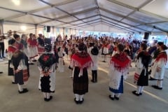Smotra-Folklora-Donja-Moticina-nastup-KUD-.a-Izvor-29