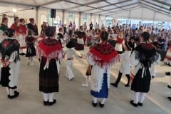 Smotra-Folklora-Donja-Moticina-nastup-KUD-.a-Izvor-30