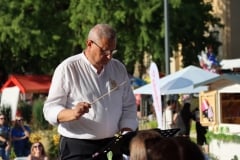 IMG_6529-Custom