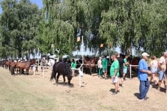 m_IMG_4186