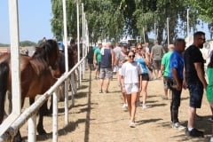 m_IMG_4193