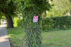image00002