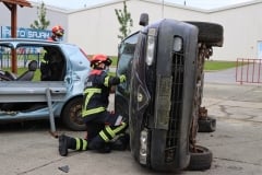 jvp-vtc14