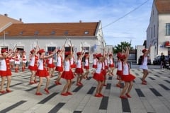 Dan-Drzavnosti-NAsice-4
