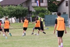 IMG_1939