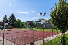 IMG_20250603_083848