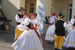 DSC05494