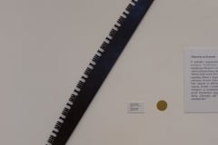 DSC05527