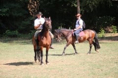 IMG_1810-Custom