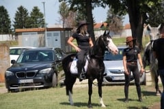 IMG_2021-Custom